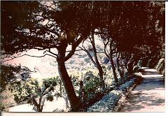 ORAN PROMENADE DE LETANG 1963